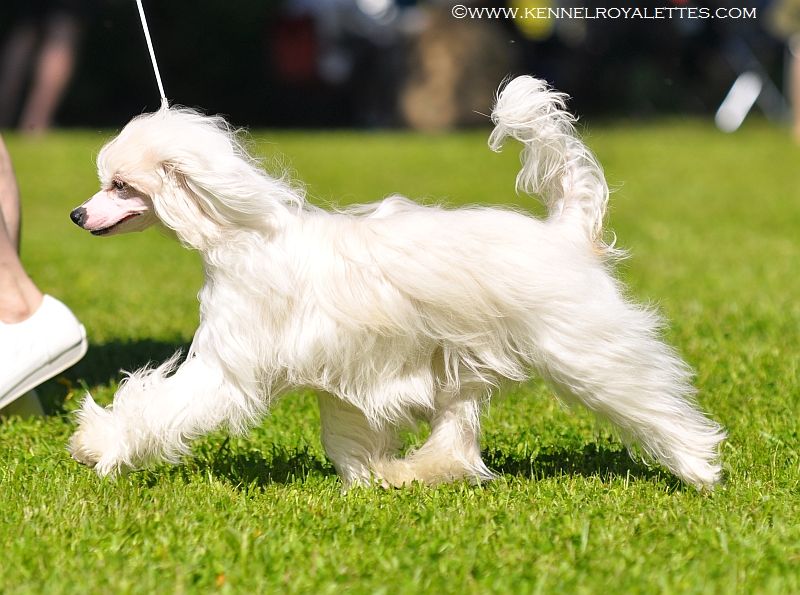 Chattanooga's Power Of Love