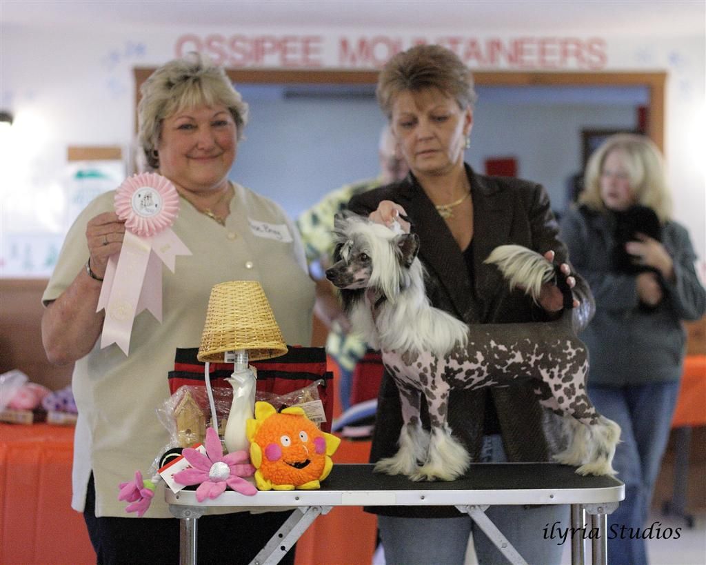 Tri-Cas Just A Little Naughty