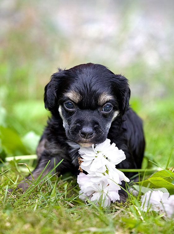 Magic'N Mystic Klassy'N Sassy