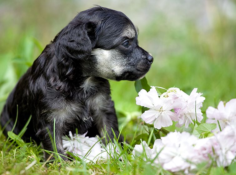 Magic'N Mystic Kind of Magic