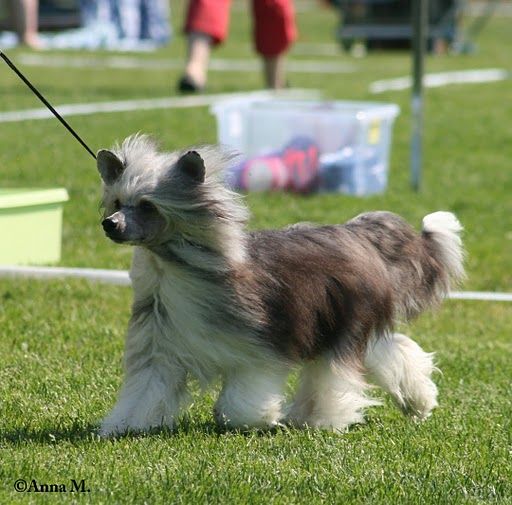 Candy Queen's Long Time No Seen