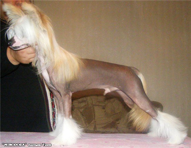 Crest-Vue It Only Takes One