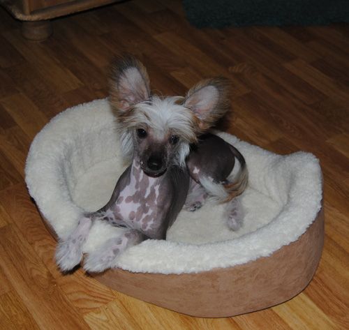 Sun-Hee's I Eat Nobody's Dust