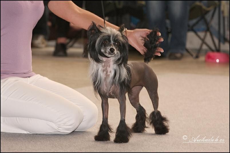 Tippytoes Tickle My Tummy Itz So Yummy