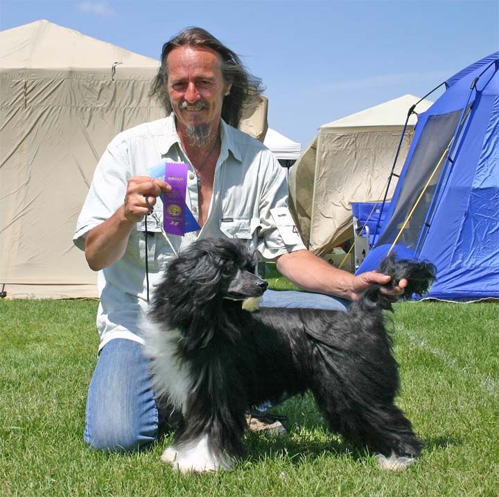 Crestars One Black Toe Oreo PF