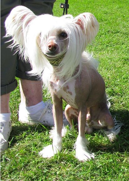 Absolute Souls Micro Tiny Hello