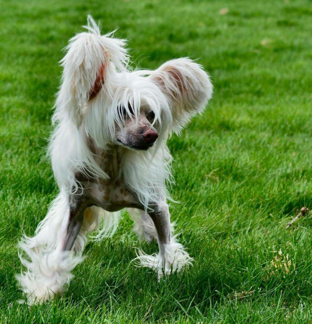 Absolute Souls Micro Tiny Suddenly