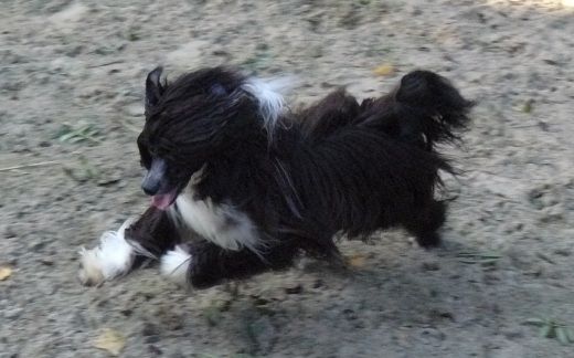 In Standby Top Model De Rama