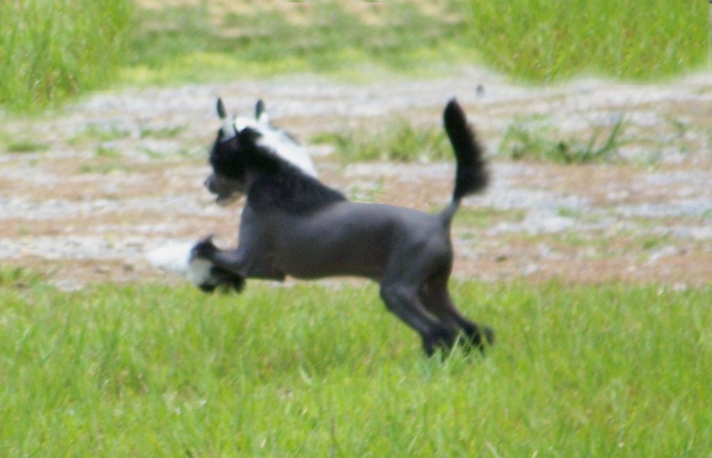 Baldpark's And Thats How We Roll At Trinity