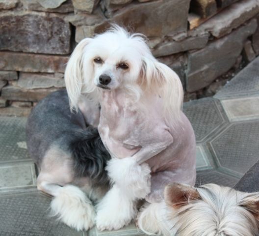 Victory Sprint Ultra Beauty