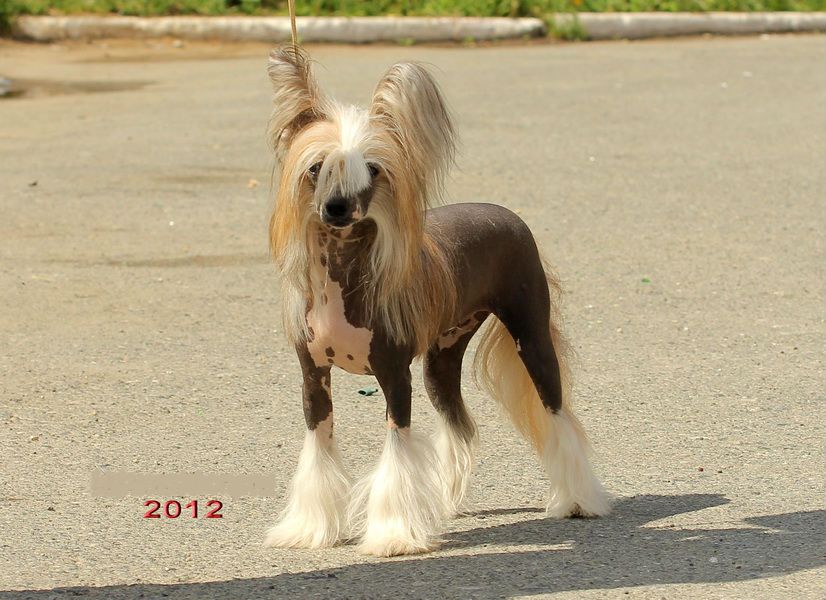 Kristal Yaniry Zabobona Zemilah