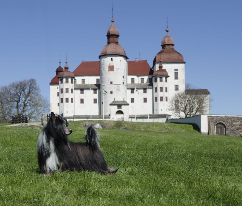 Sirocco Welcome To The Black Parade