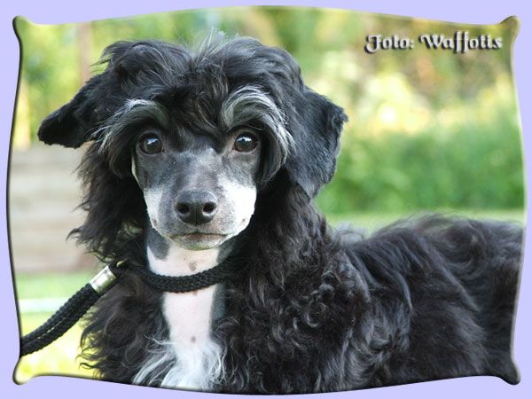 Marachinos Look How Hot