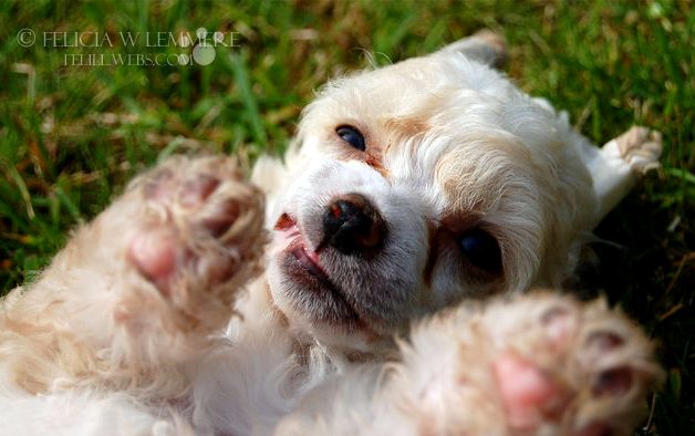 Sun-Hee's Miss Moneypenny