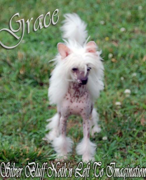 Silver Bluff Noth'n Left To The Imagination