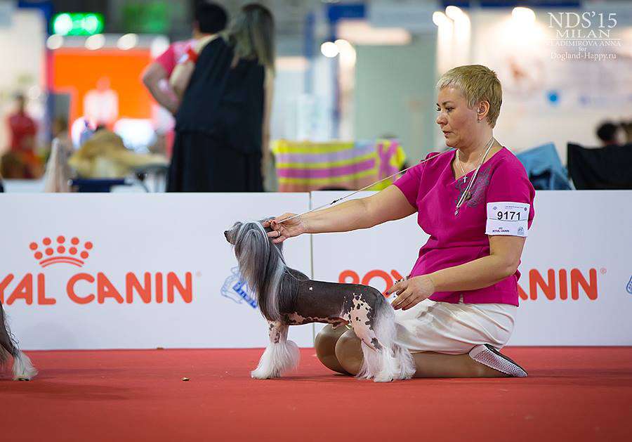 Mhalhi's Feeling Great