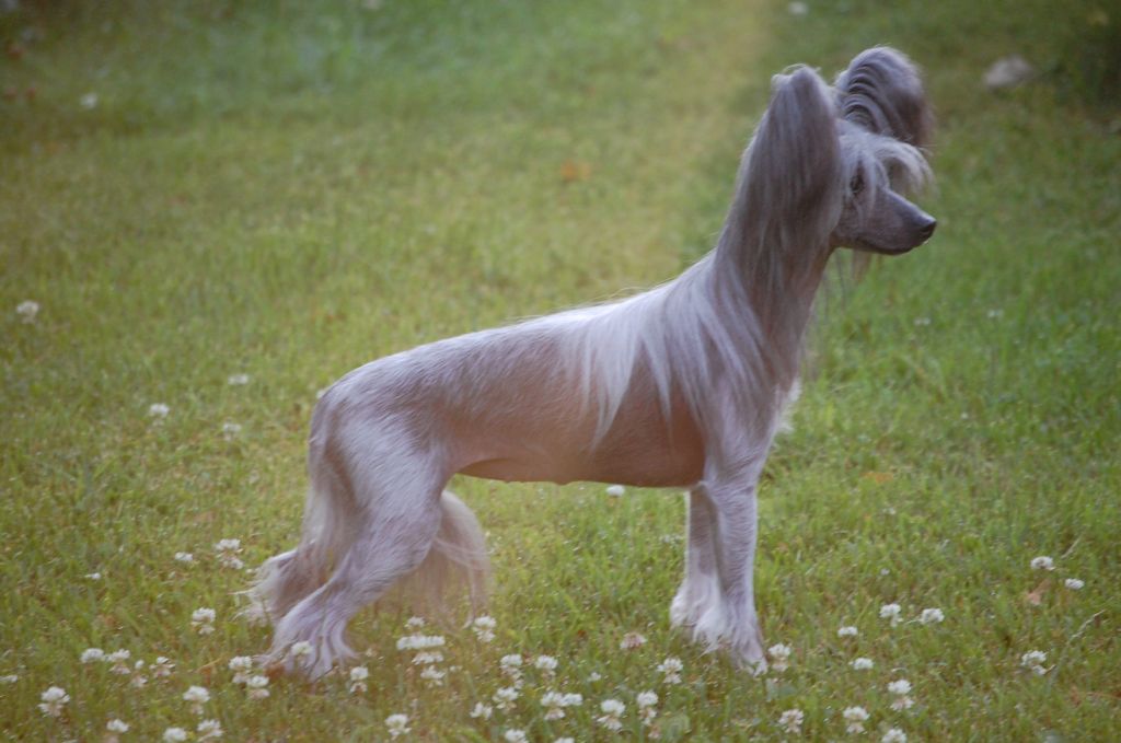 Pinky Twinky Good Night Kiss