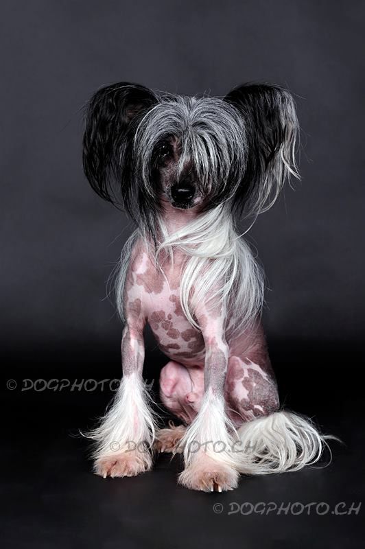 Whisper for Fantasy Island of Beminita