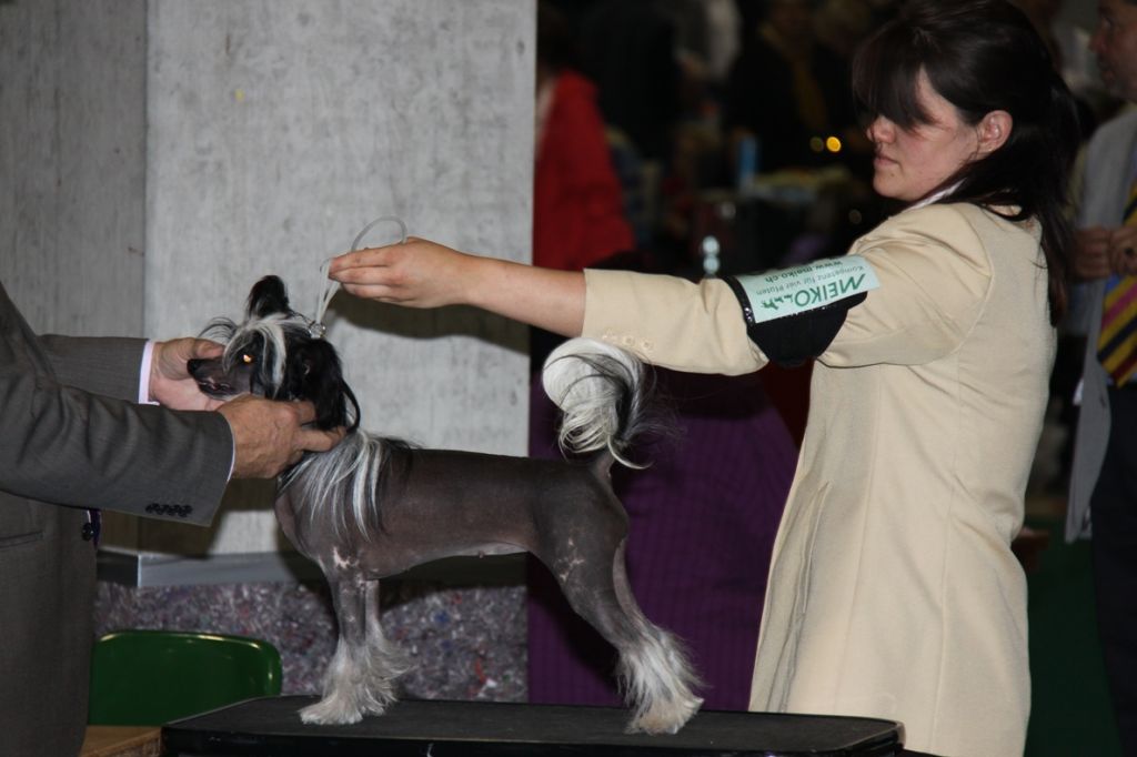 Whitney Fantasy Island of Beminita