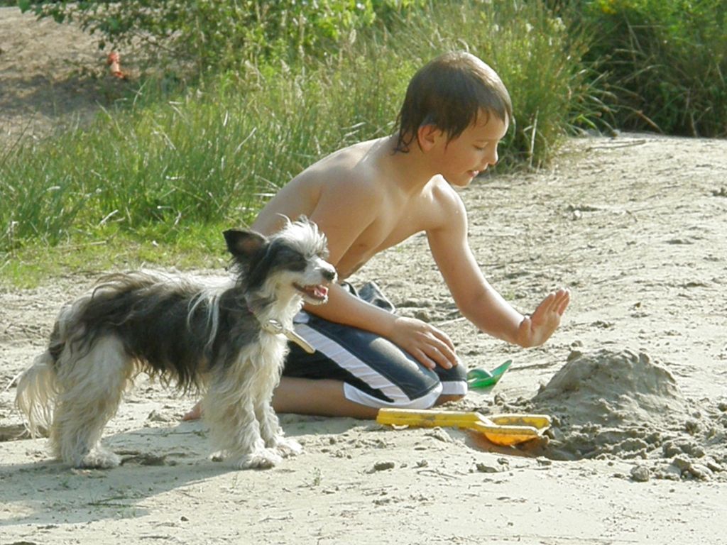 Dyna Softtail Angels Diamond Place