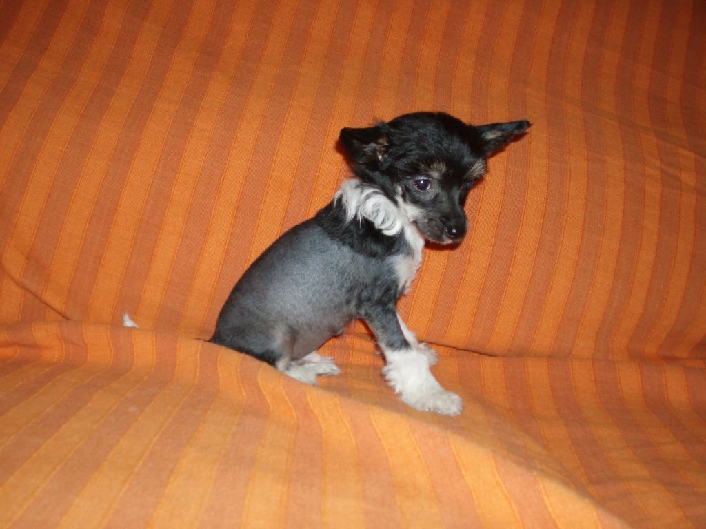 Atxarrea Tomorrow Never Dies