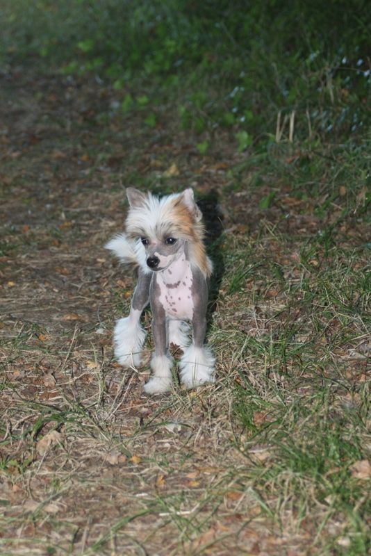 I Want You Little Champs