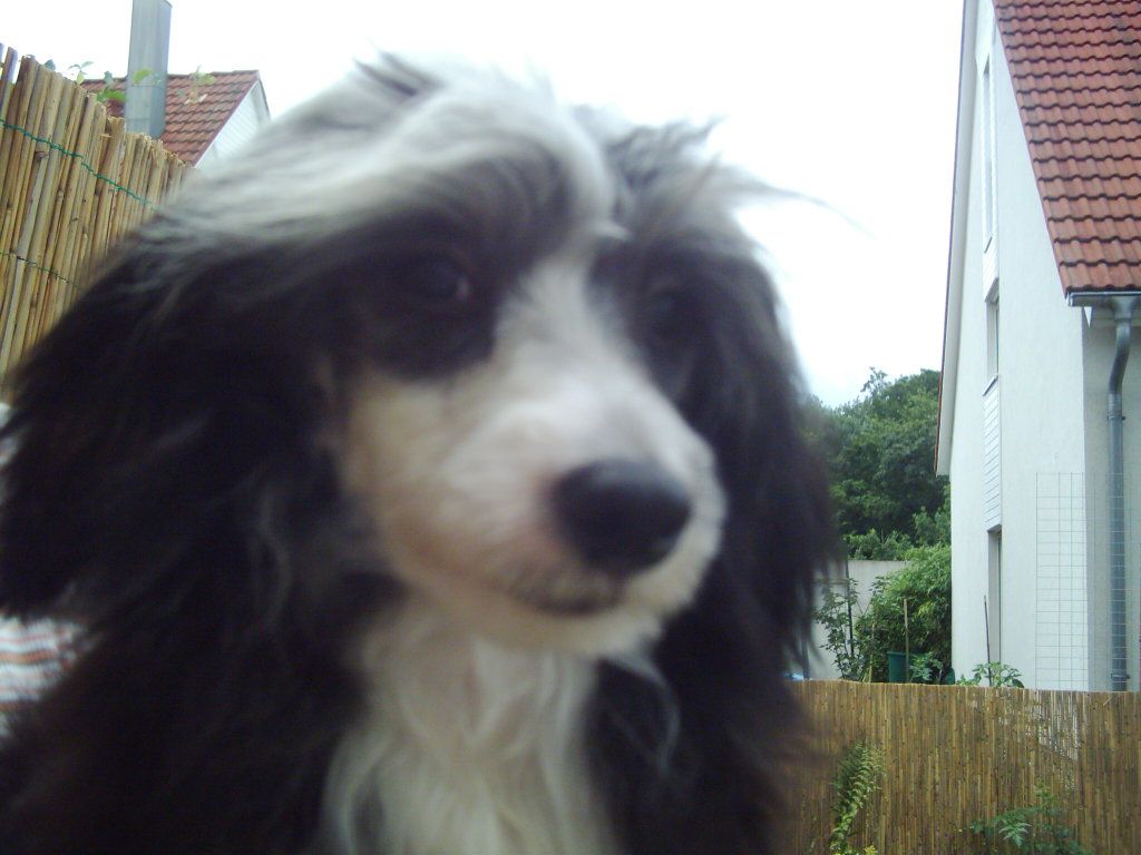 Firstclass Fighter von Hellmundin