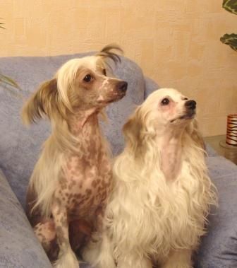 Lady of My Dream from Khakasia