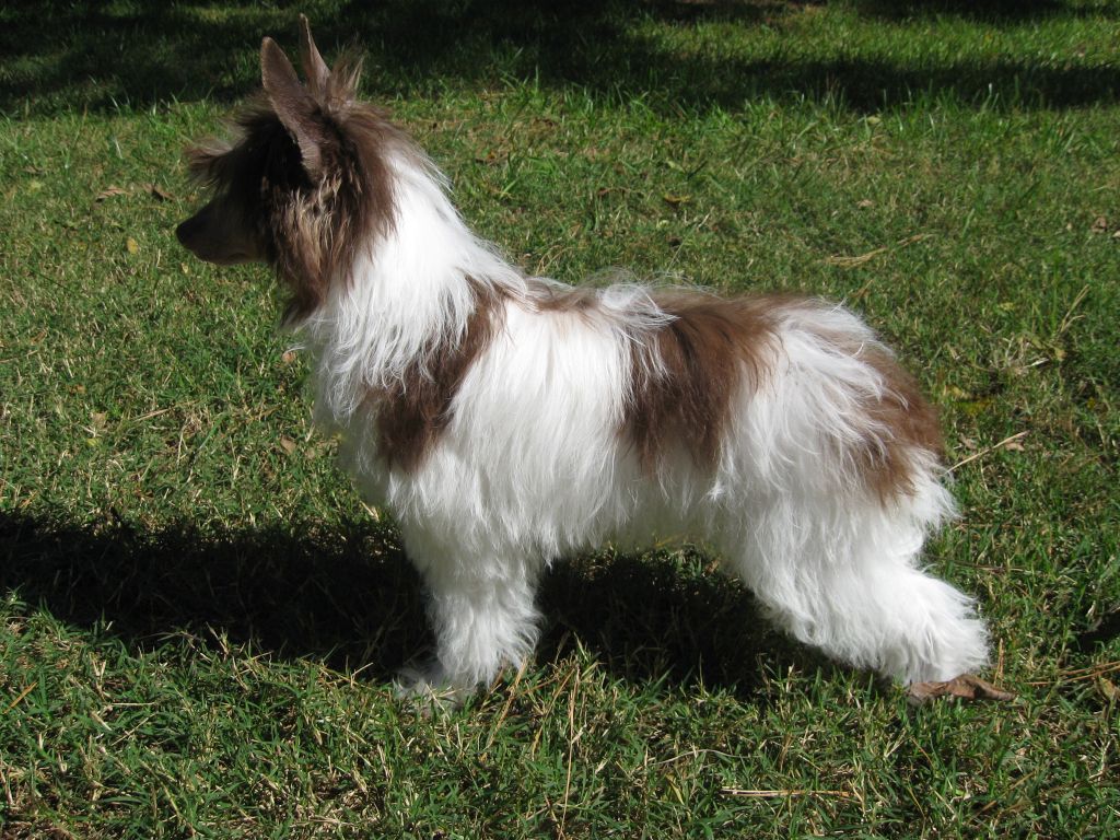 Thunders Won 2 Envy At Ozark Cavern