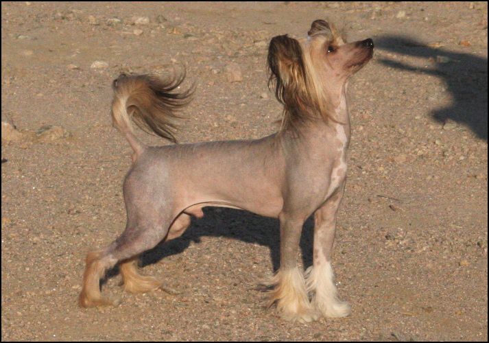 A Little Sunshine D- Amore