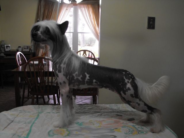 Bidwin's Lost In The Risin' Sun