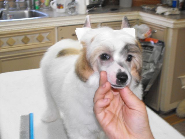 Bidwin's Lost Outlaw