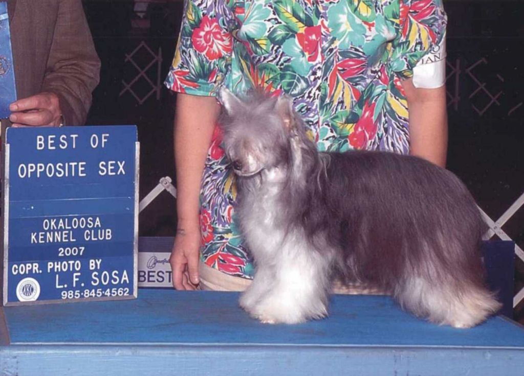 Kai's Xiaoping Tianyi