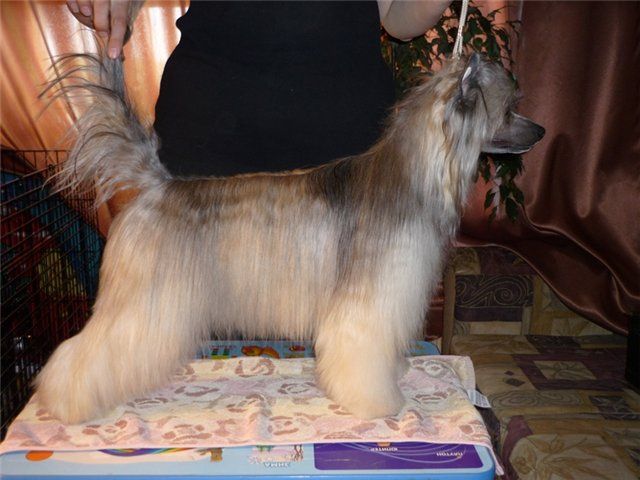 Olegro Katrin Other Side Of The Moon