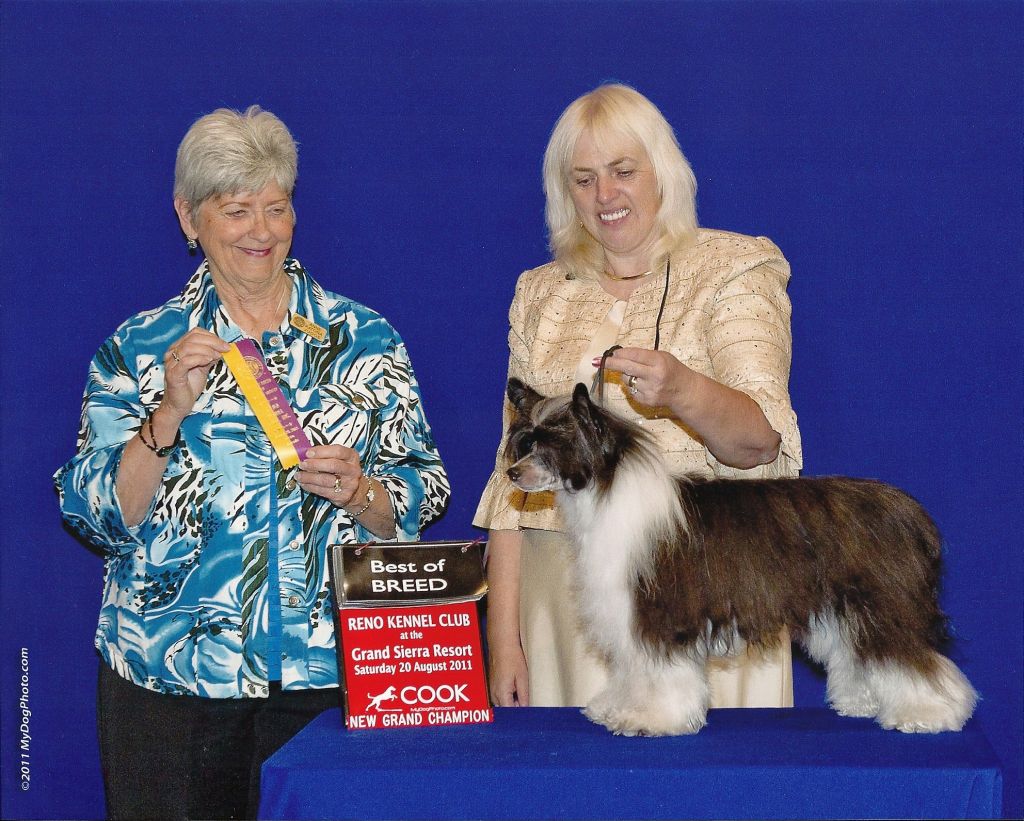 Nina's K Comeback Kid Som Aom