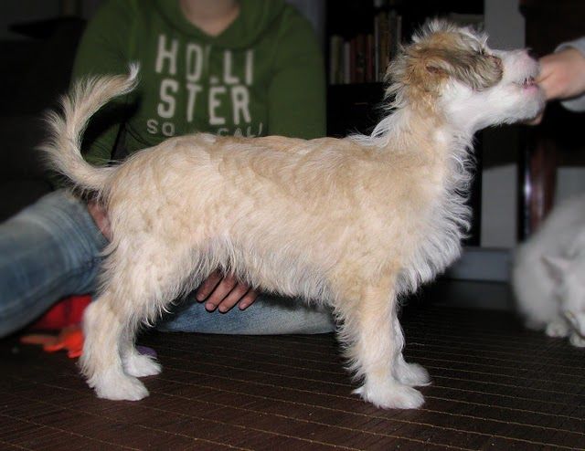 Three Cheers for Sweet Revenge