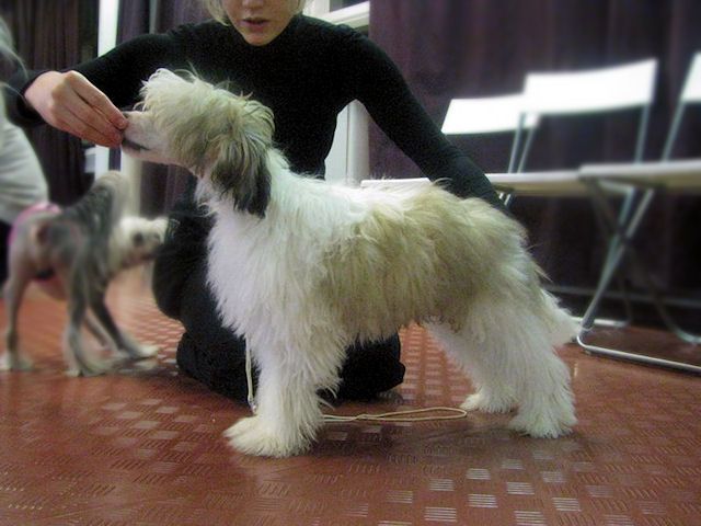 Three Cheers for Get Cape Wear Cape Fly!