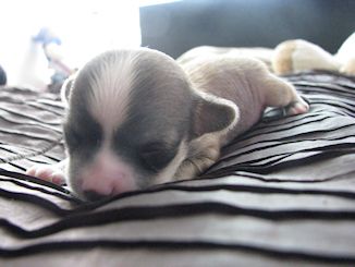 Three Cheers for Smaller Than Three