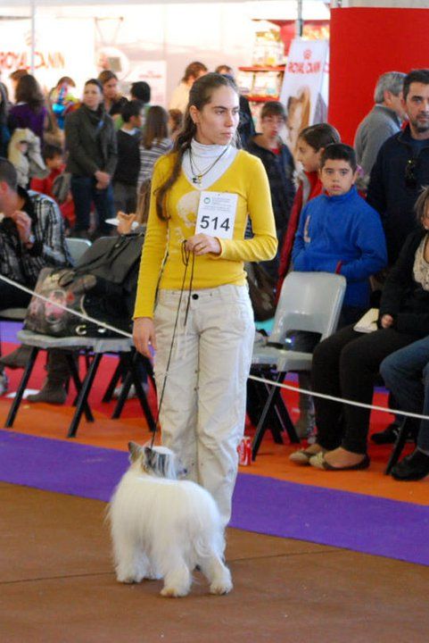 Yasmin Rosa Thea FCI