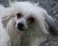 Anirac's Pretty Woman