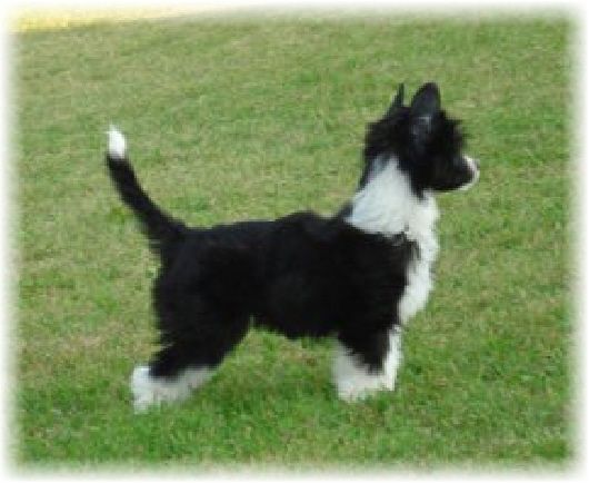 Krayons Deep Space Sparkle At Cinder