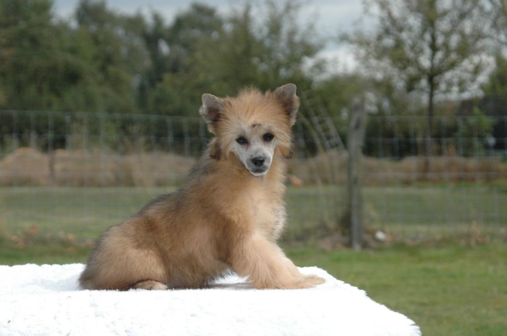 I Miss You Little Champs