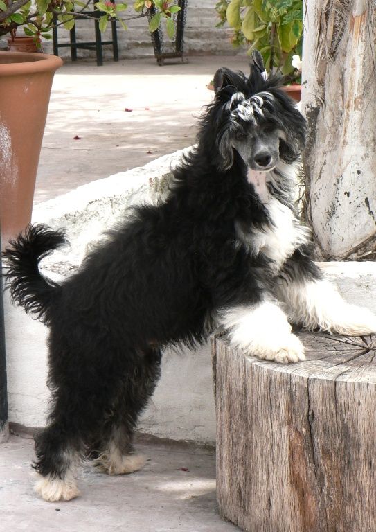 Michael Jackson Be. Lowry