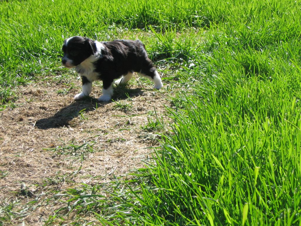 Spirit Of Mantra's Fairytale