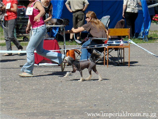 Fantastik Kashmir Bourbon