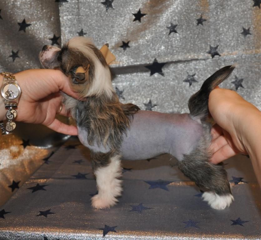 Kama Lakshmy Sebasten