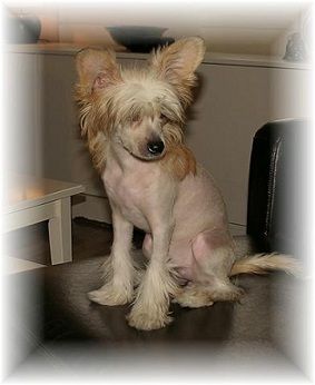 Bai Long's Image Of An Angel