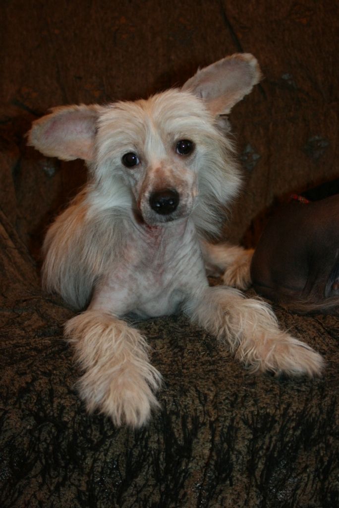 Margadon Den' Vesennyi