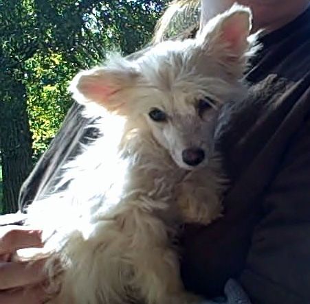 Sakkarra Jacqueline Chanel