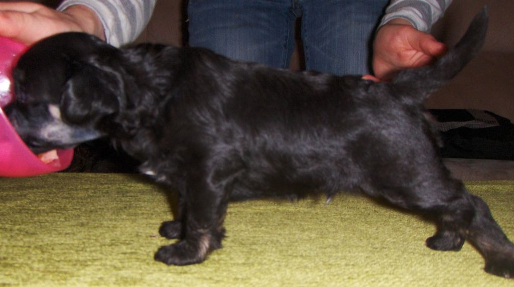 Lady's Trick Gummy Bear